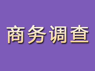 沈陽商務(wù)調(diào)查
